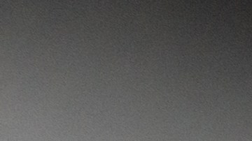 Perro dentro del auto