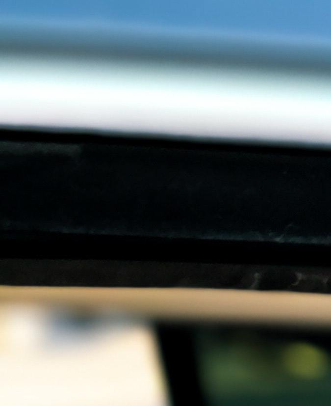 Perros viajando seguro