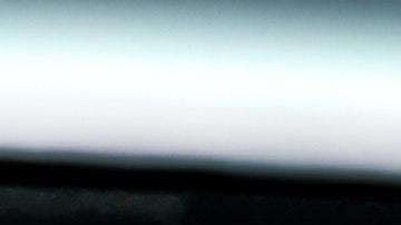 Perros viajando seguro