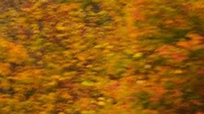 El Jetta se considera un auto sedán compacto.