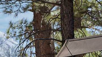 Subaru Forester Wilderness 2022