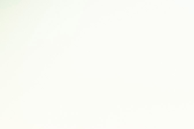 Ford F-100 Eluminator