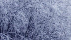 Conducción bajo la nieve