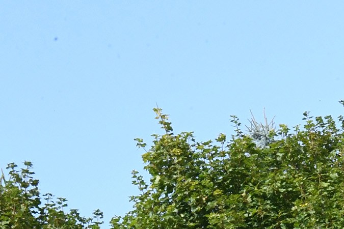 Jeep Wrangler Overlook concept