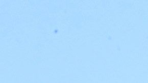 Jeep Wrangler Overlook concept