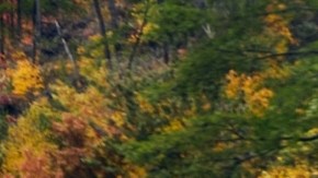 Volkswagen Jetta GLI 2022