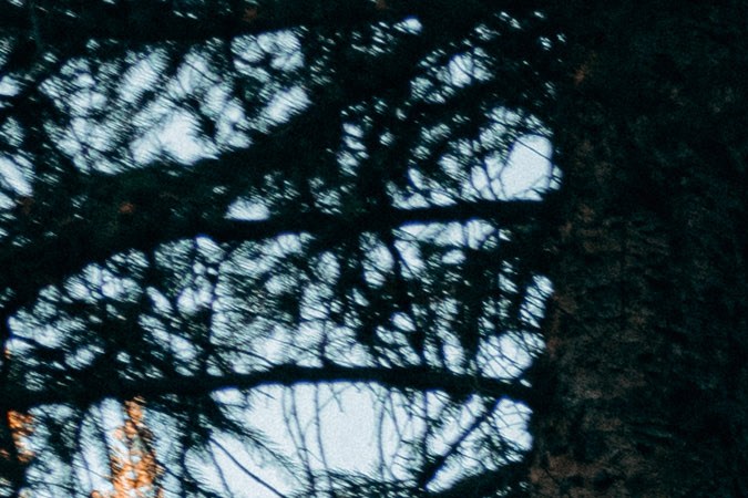 Tacoma Overlanding Concept