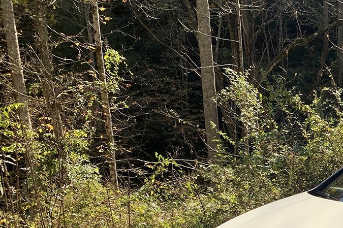 El Volkswagen Golf R 2022 viene con una arquitectura electrónica totalmente nueva.