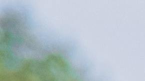 Examen de manejo en estados unidos