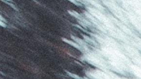 Conduciendo un auto.