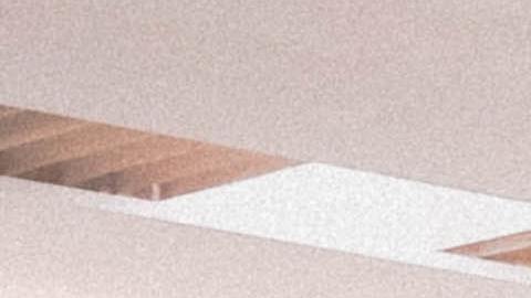 Exhibición de autos