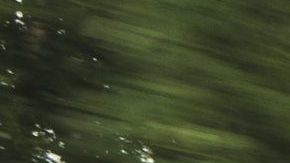 Chevrolet Suburban 2021