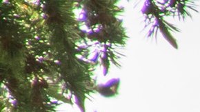 Chevrolet Silverado ZR2