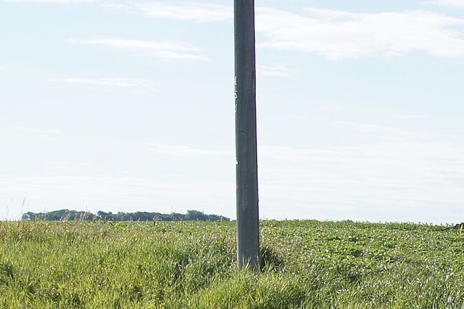 ford thunderbird 1976