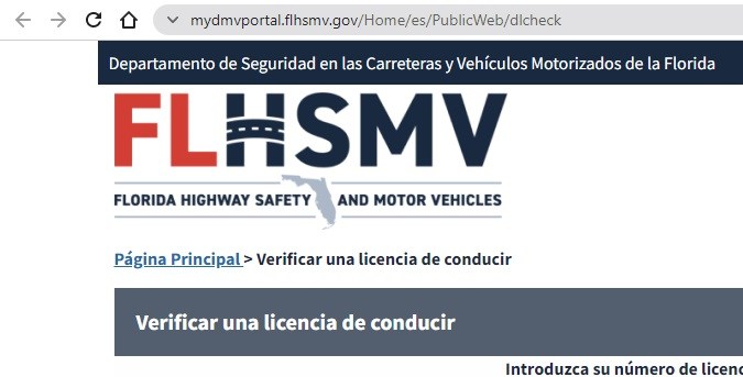 verificar mi licencia de conducir en el sistema del FLHSMV