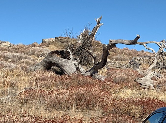 La parte posterior del Ioniq 5 tiene un panel con diseño tipo "pixeles" que se repite en otras zonas del interior y exterior. / Foto: Siempre Auto