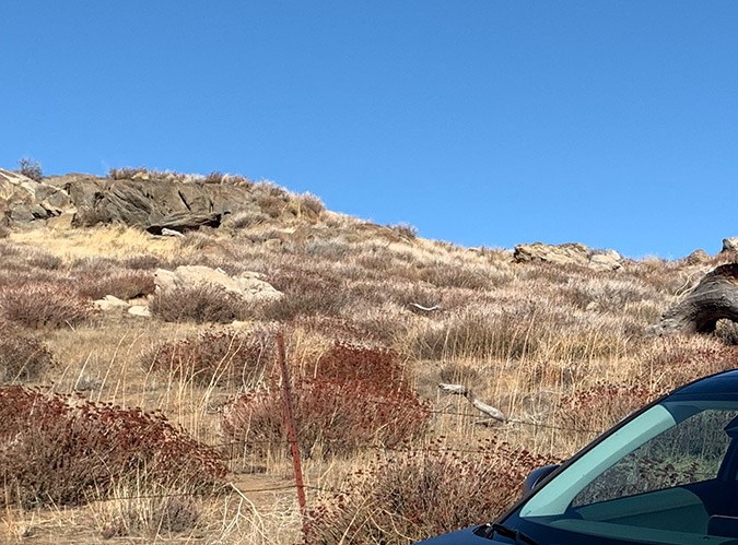 El Hyundai Ioniq 5 será el auto eléctrico de referencia de Hyundai en 2022.