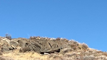 El Hyundai Ioniq 5 será el auto eléctrico de referencia de Hyundai en 2022.