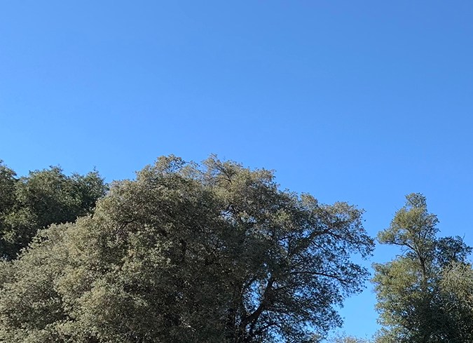 El diseño del Ioniq 5 destaca por sus ángulos y líneas rectas.