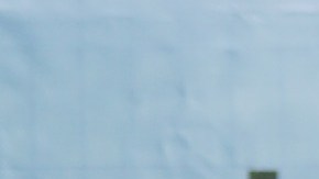 Seguro de auto los 6 tipos de cobertura en Estados Unidos