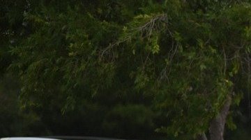 Polarizado de carros cerca de mi