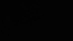 Foto del logo del Tesla sobre un vehículo