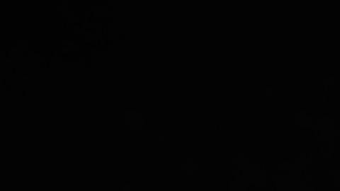 Foto del logo del Tesla sobre un vehículo