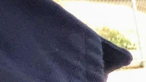 Licencia de conducir en Estados Unidos: cómo saber si estoy registrado en DMV