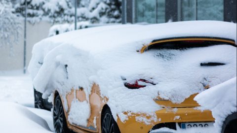 Auto cubierto de nieve.