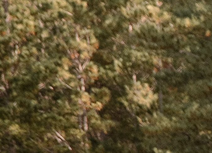 Jeep en carretera de terracería