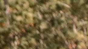 Jeep en carretera de terracería