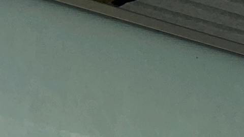 Lavado de autos