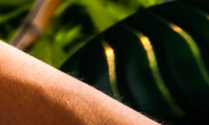 Auto brillante y limpio