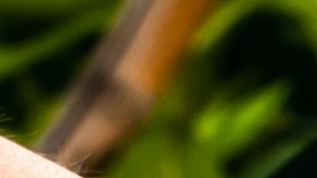 Auto brillante y limpio