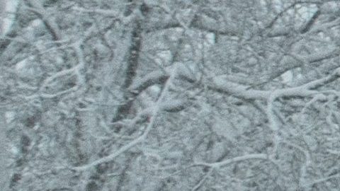 Auto en tormenta de nieve
