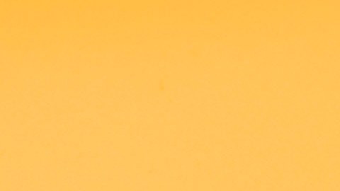 2022 Ford Ranger Splash