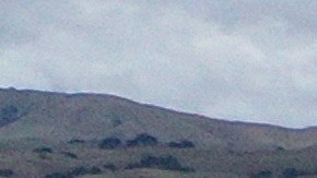 Tesla Fremont fábrica más productiva de Estados Unidos