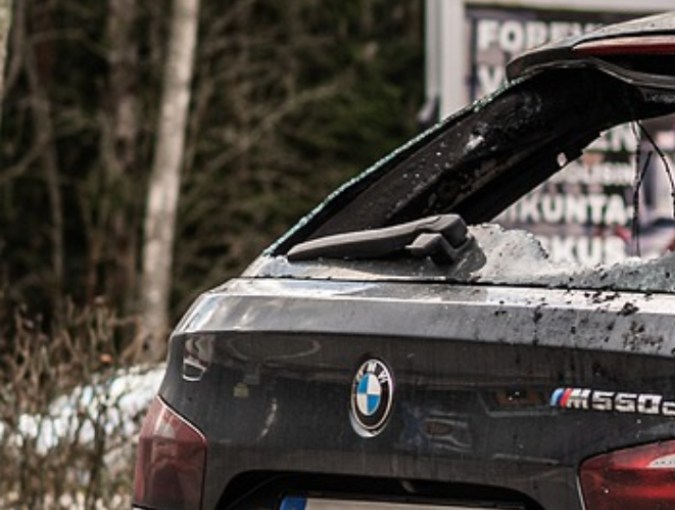 autos abandonados jardin (2)