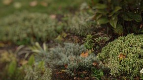 estacionamiento a 90 grados