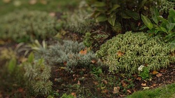 estacionamiento a 90 grados