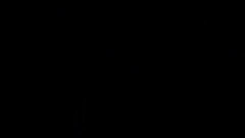 Foto que muestra la silueta de un conductor de