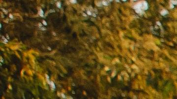 Foto de un auto de aventura estacionado cerca de un lago