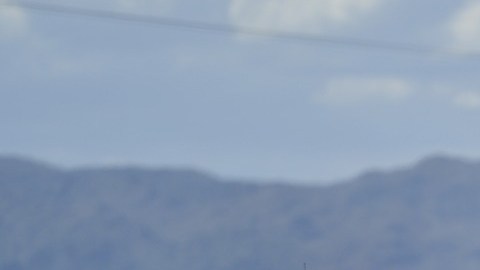 policía