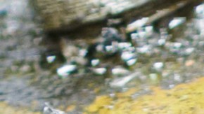 Metales con aceite