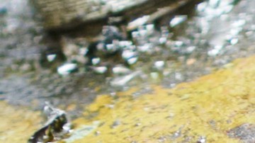 Metales con aceite
