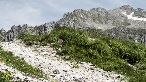 Honda Pilot TrailSport 2022