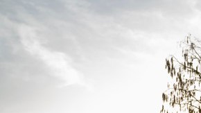 Ford Bronco Everglades 2022