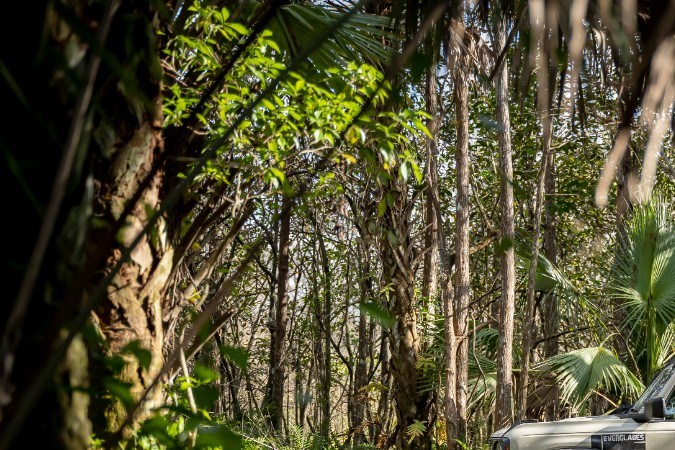 Ford Bronco Everglades 2022