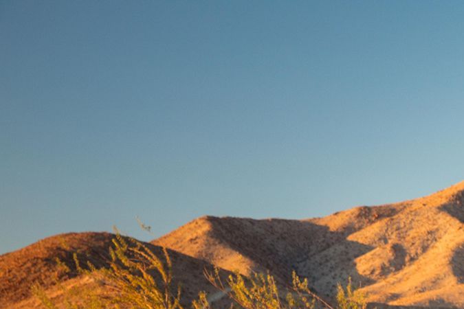 Nissan Frontier Project 72X