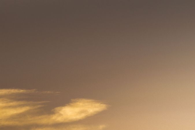 Nissan Frontier Project Hardbody